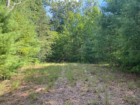 2nd image of 17411 Joe Brown Hwy