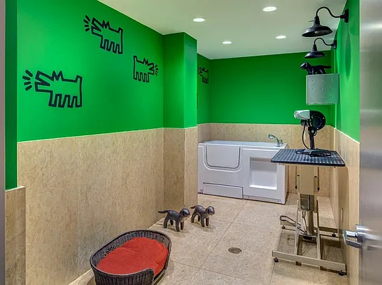 Rented by Halcyon Management Group LLC | media 38