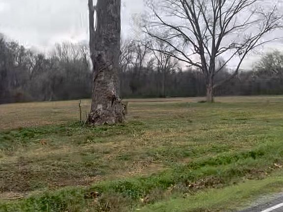 3rd image of 14413 Upper Steel Bend Rd