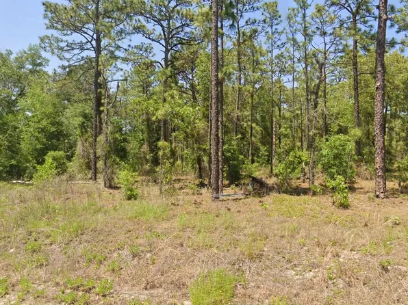 NW Hemlock Ave Lot 37, Dunnellon, FL 34431
