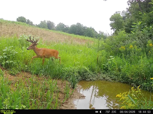 153/ACRE S Shimmering Ln, Blue River, WI 53518