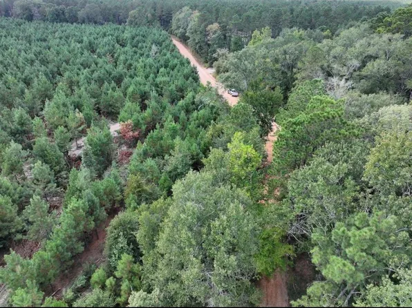 1 Bracewell Cemetery Rd, Livingston, TX 77351