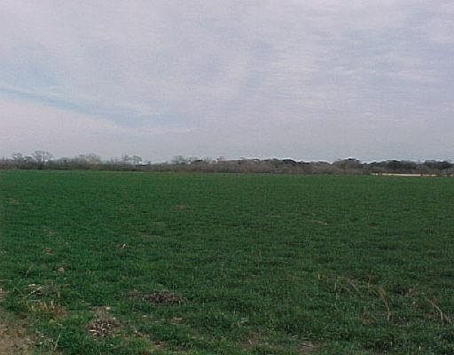 5th image of 72-AC US HWY 87 W