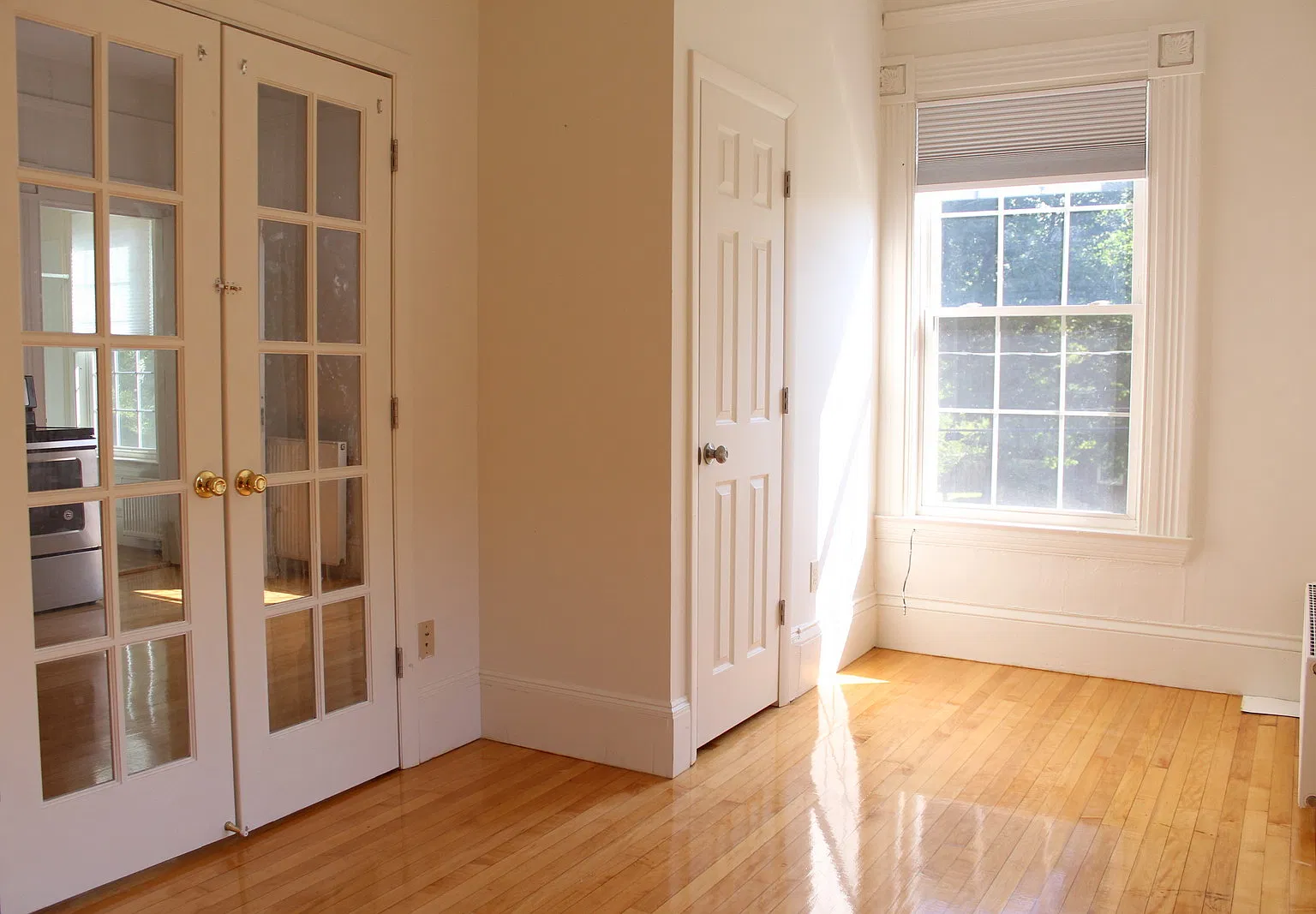 219 Amity St — Photo 3
