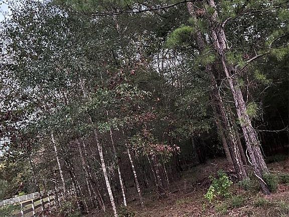 2nd image of 760 County Road 2146