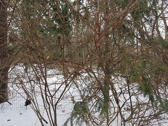 2nd image of 13 Sylvan Dr