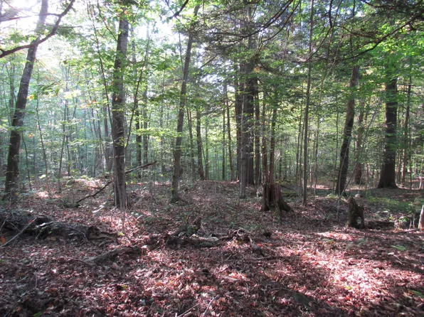 LOT 59 Cayuga Rd, Old Forge, NY 13420