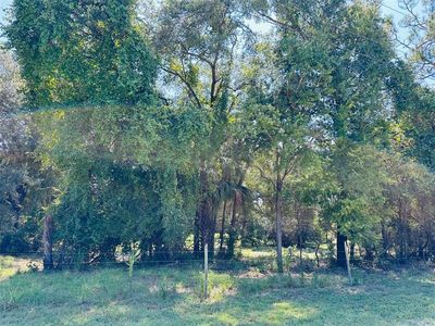 0 NW 100th Ave LOT 6, Chiefland, FL, 32626