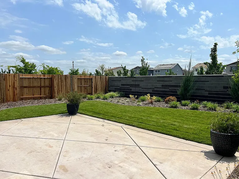Backyard