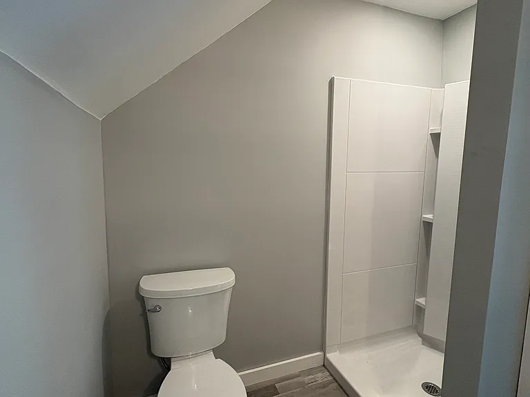 Master bathroom shower, toilet side