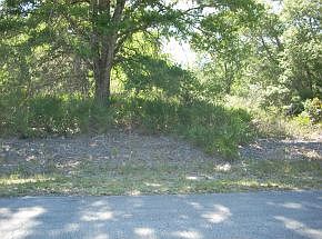 2nd image of 10262 N Marigold Ter
