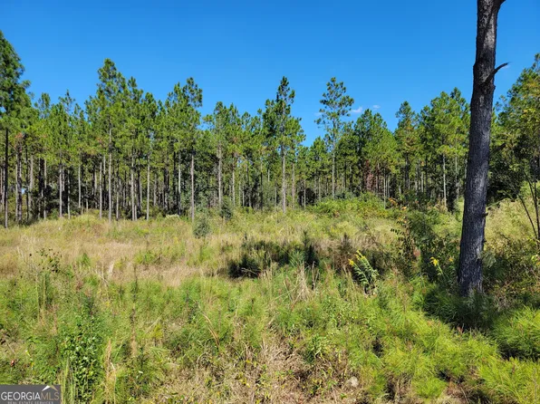 0 Tuton Rd, Baconton, GA 31716