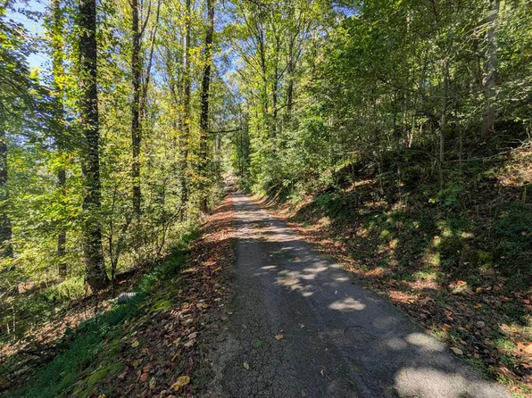 Cypress St, Oakwood, VA 24631
