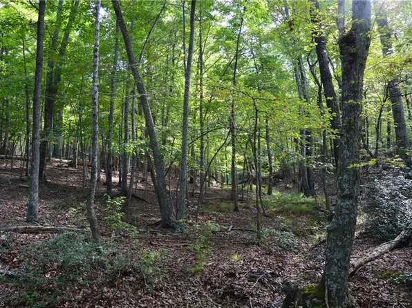 433 E Hanging Rock Forest Rd, Danbury, NC 27016