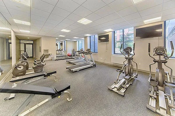 Rented by Voro, LLC | media 20
