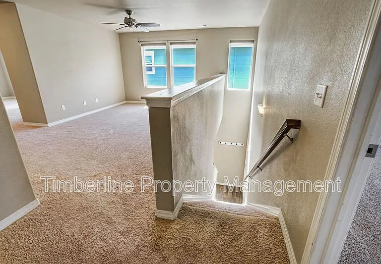 7673 Crestone Peak Trl — Photo 26