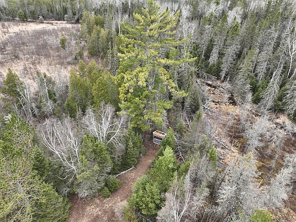 4th image of 7685 Old B Rd
