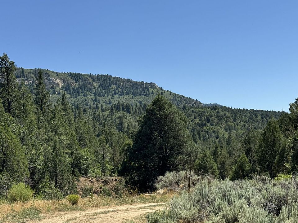 1st image of Cougar Cyn