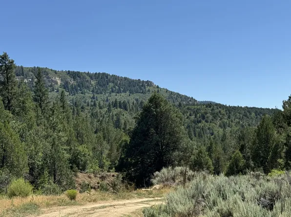 Cougar Cyn, Orderville, UT 84758