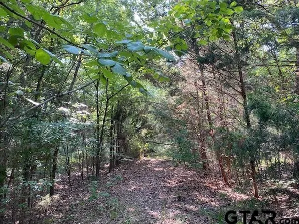 Township Road 1 Cres #41514, Athens, TX 75751