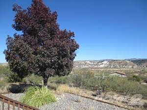 Cedar Springs Pics 005