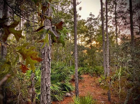 4282 N Bridger Dr Lot 12, Beverly Hills, FL 34465