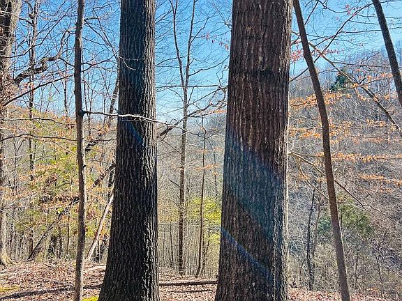 2nd image of 1075 Patterson Rd