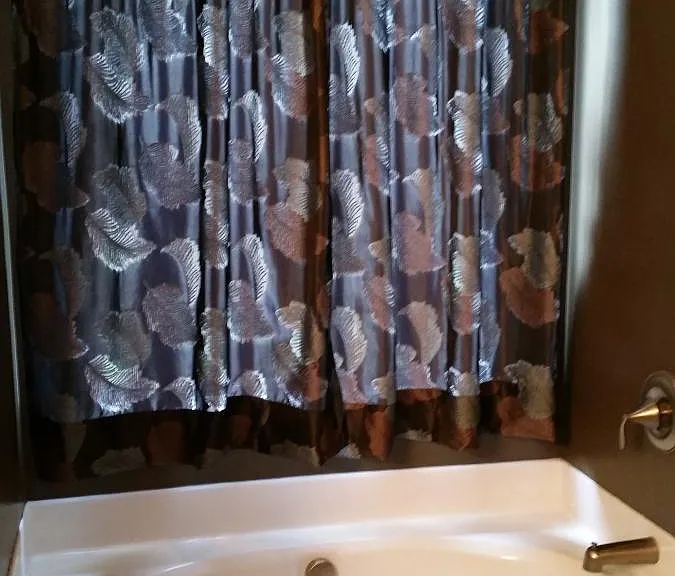 Master Bath 2