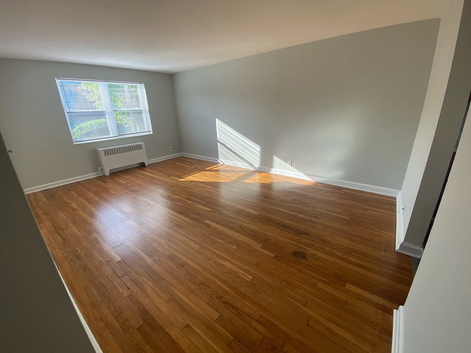 Terrace Ave, Hasbrouck Heights — Photo 4