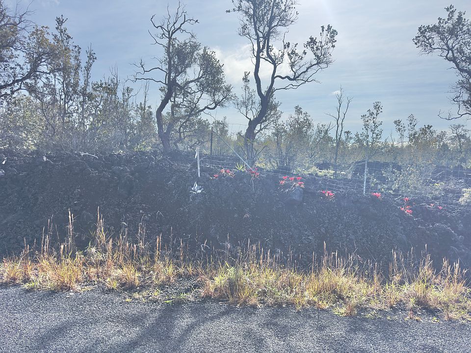 1st image of Lot 13