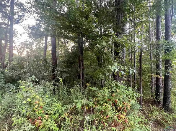 Cedarwood Trl, Gilmer, TX 75645