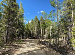 27 Vots Dr #1244, Fairplay, CO 80440