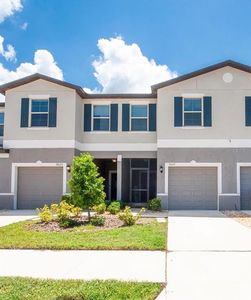 9623 Mulberry Marsh Ln, Sun City Center, FL, 33573