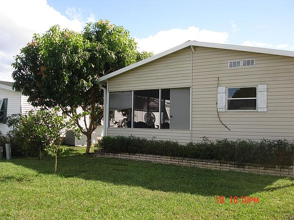 back side with Large Mango tree