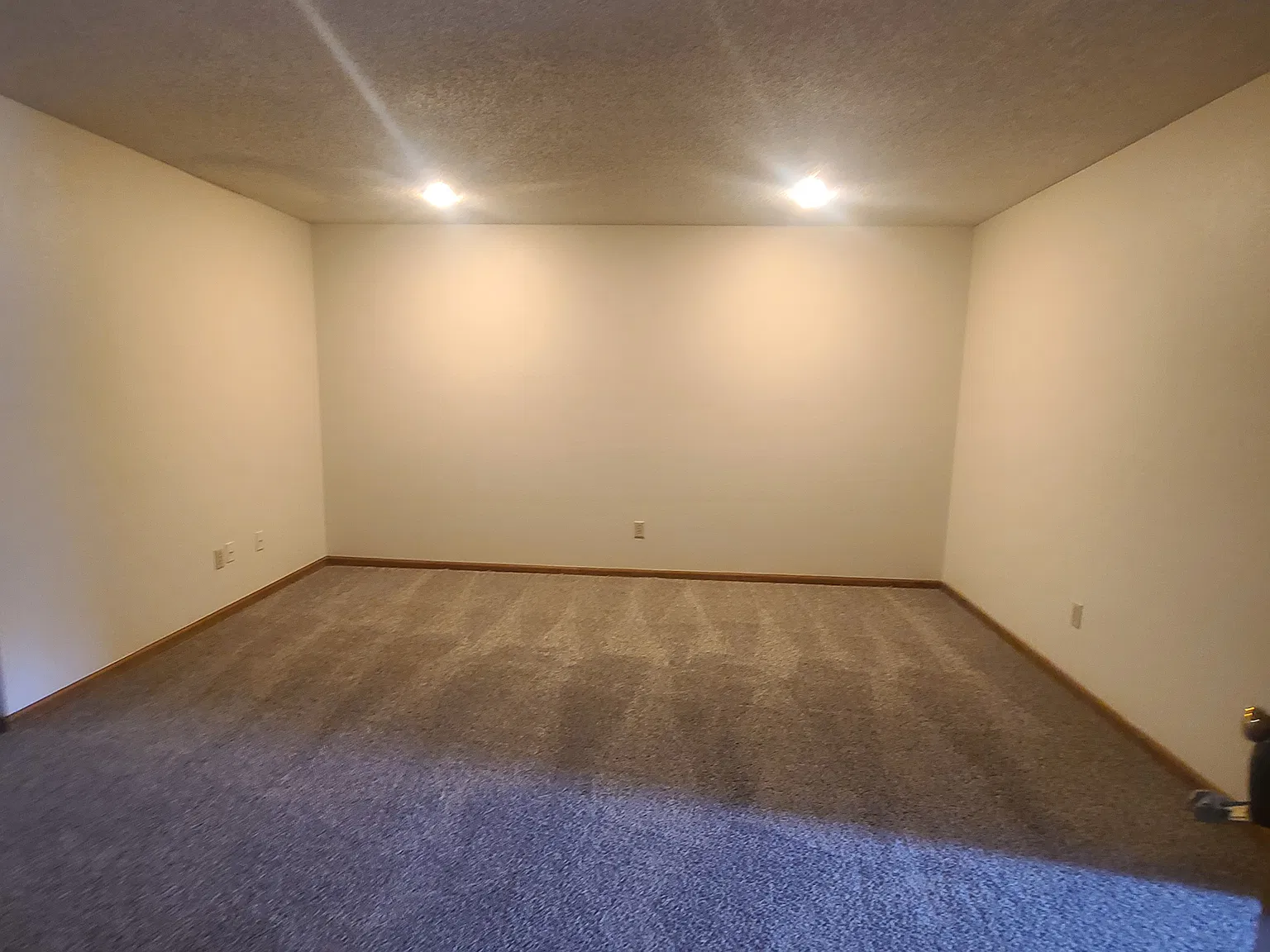 1 bed, 800 sqft, $795 — Photo 4