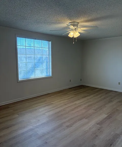 Large living room