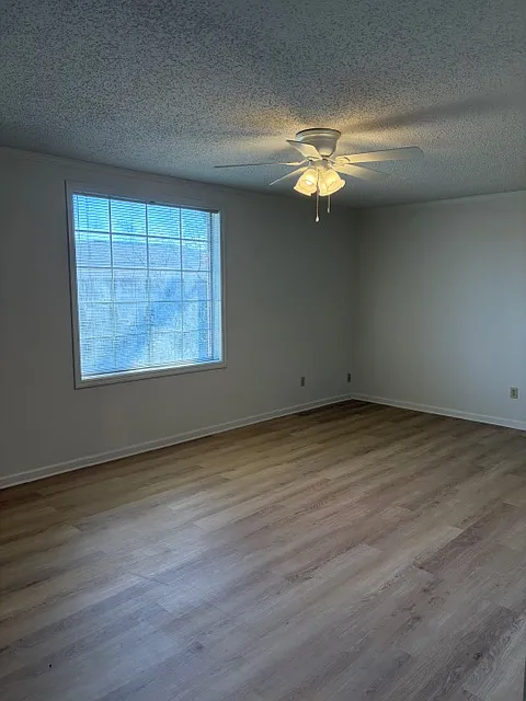 Large living room
