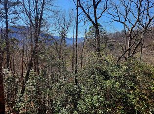 LOT D16 Cedar Crk, Tuckasegee, NC 28783
