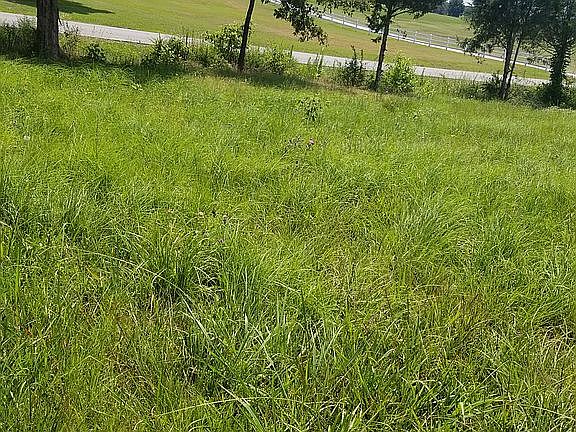 2nd image of 4341 County Road 745