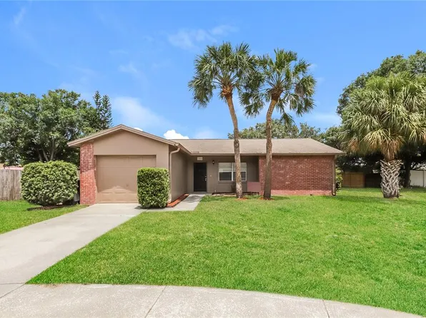 1002 Pinehaven Ct, Brandon, FL 33511