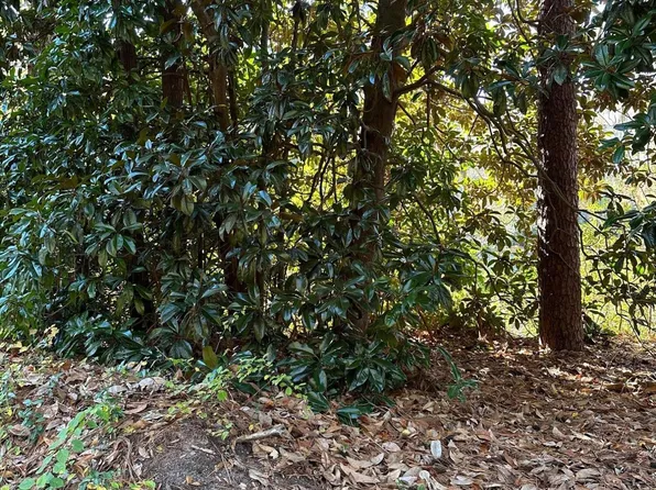 Tbd Minturn Avenue, Hamlet, NC 28345