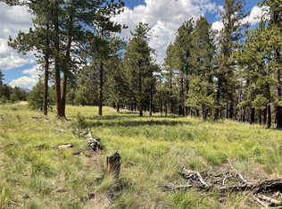 1970 Singletree Rd, Hartsel, CO 80449