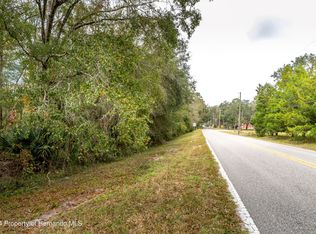 0 Lake Lindsay Tract Rd #2, Brooksville, FL 34601