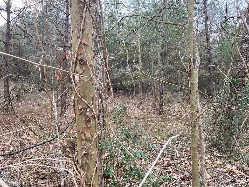 2nd image of 14 Shadow Ln