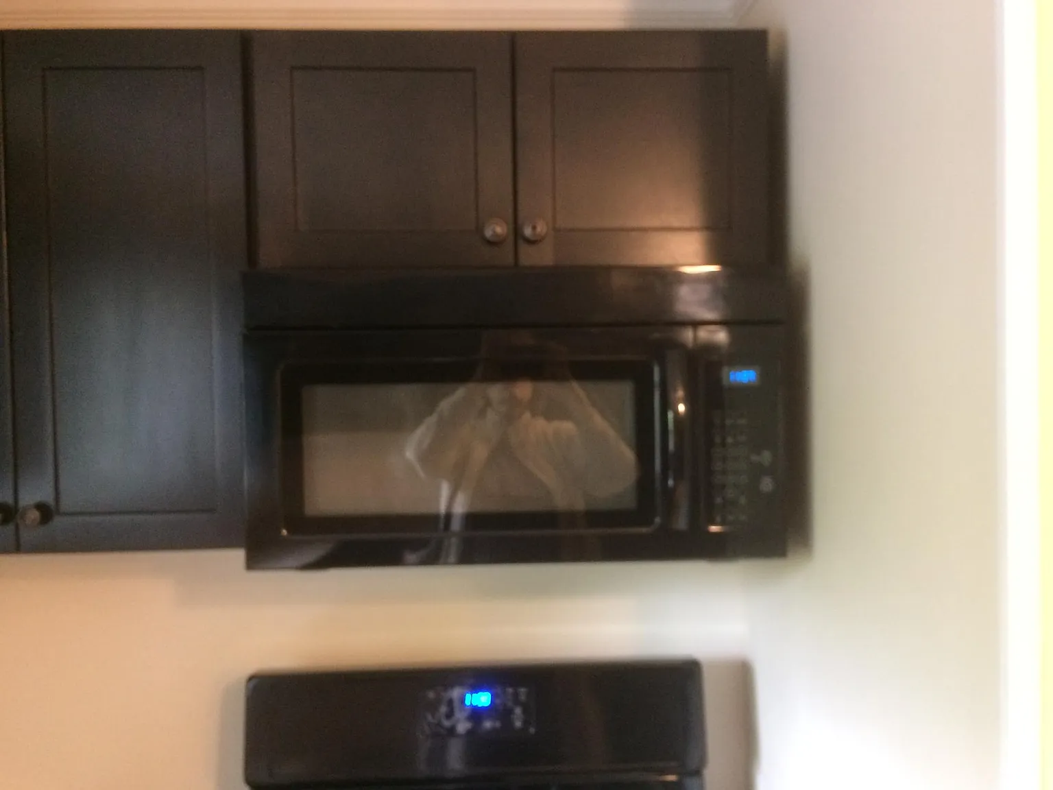 2 bed, 700 sqft, $1,350 — Photo 3