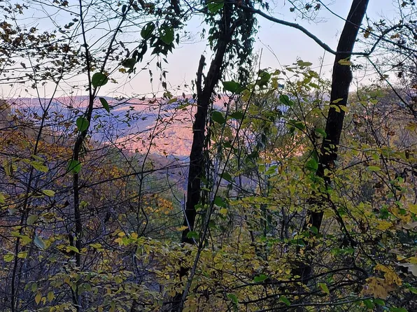 121 Lazy Oaks Ln, Fairfield Bay, AR 72088