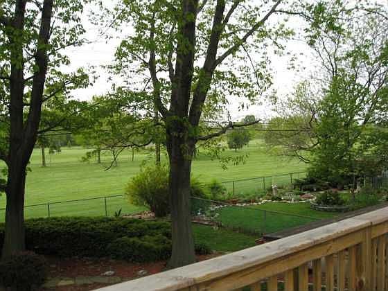 View of Golf Course From Balcony