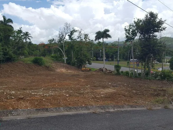 Ciales Manati A Ciales, Ciales, PR 00638