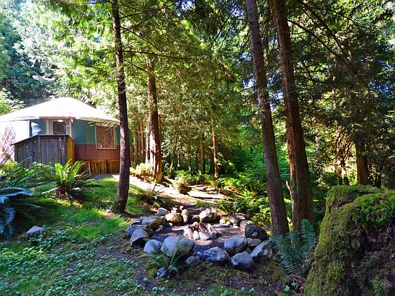 Yurt nestled in the forest