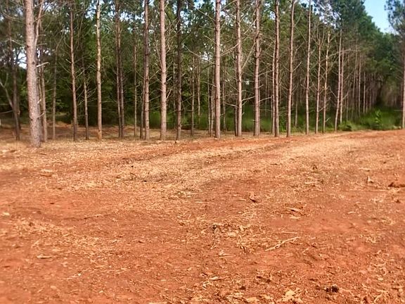 2nd image of 0 Sanford Rd